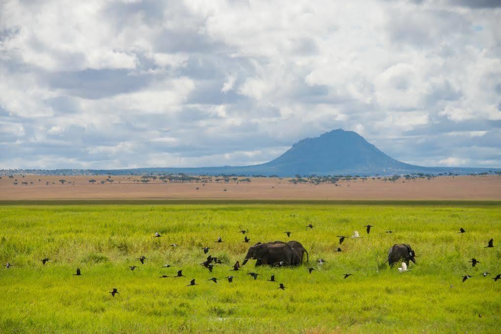 Sanctuary Swala Hotel Babati Esterno foto