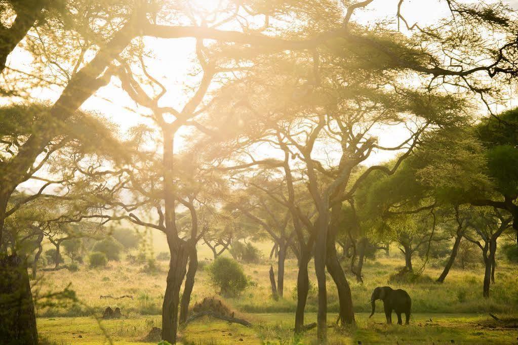 Sanctuary Swala Hotel Babati Esterno foto