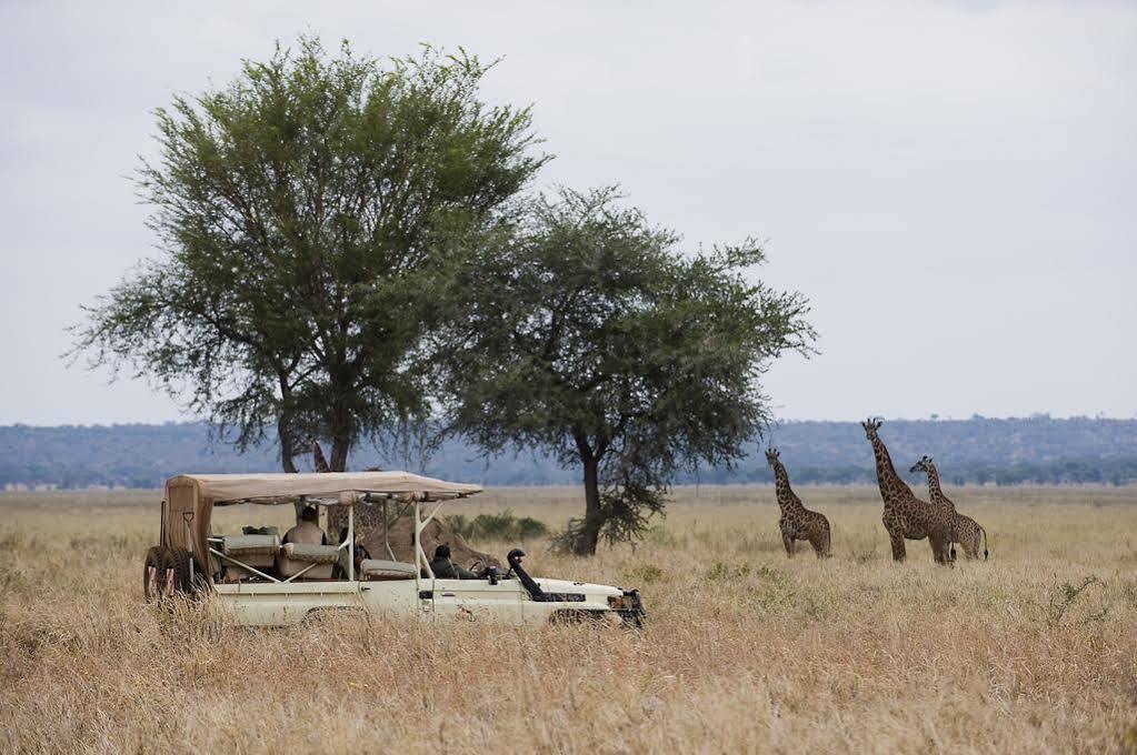 Sanctuary Swala Hotel Babati Esterno foto